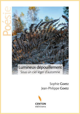Couverture Lumineux Dépouillement Jean-Philippe Goetz