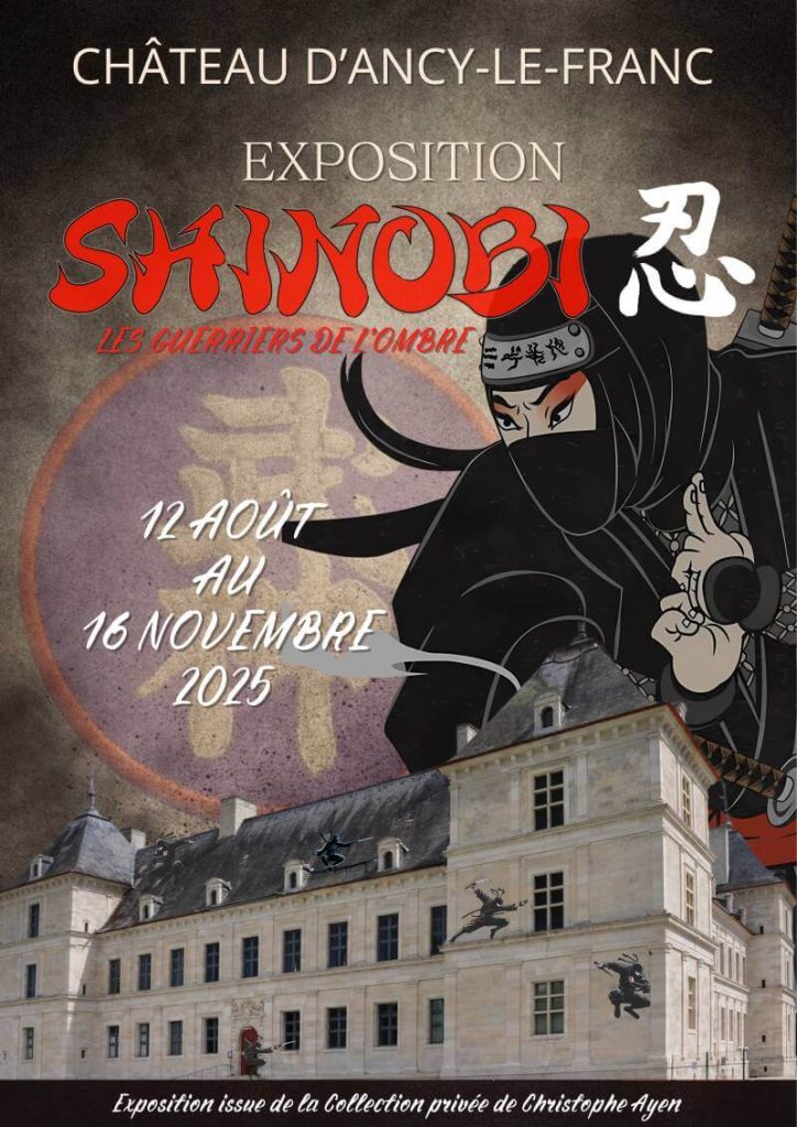 Shinobi - Les guerriers de l'ombre