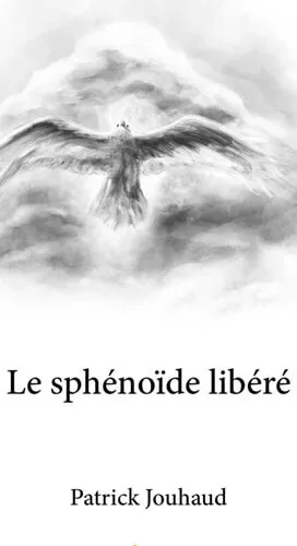 Le sphénoïde libéré, Patrick Jouhaud